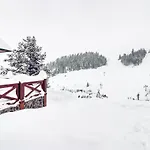 Brusnica شاليه Litmanová