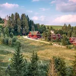 Brusnica Domek alpejski Litmanová
